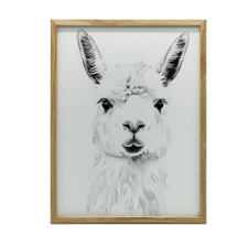  KERET FALI PLAKÁT SÖTÉTBARNA FINOM LAMA 50x70 CM grafika, keretezett kép