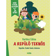 Kertész Edina - A repülő teknős gyermek- és ifjúsági könyv