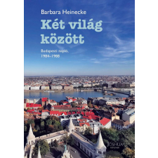 Két világ között regény