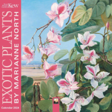  Kew Gardens: Exotic Plants by Marianne North Mini Wall Calendar 2024 (Art Calendar) naptár, kalendárium