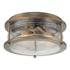 Kichler Kichler Ashland Bay KL-ASHLANDBAY-F-BU Mennyezeti Lámpa 1x60W/E27 IP44