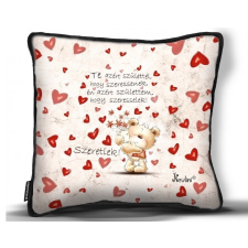  Kicsi díszpárna, Te azért születtél, hogy szeressenek lakástextília