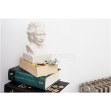 KIKKERLAND PB22 Einstein persely (KIKKERLAND_PB22) dekorációs kellék