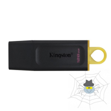 Kingston 128GB USB3.2 DataTraveler Exodia (DTX/128GB) Flash Drive pendrive