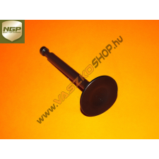 Kipufogó szelep NGP T475 barkácsgép tartozék