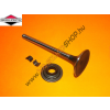  Kipufogószelep Briggs 792868