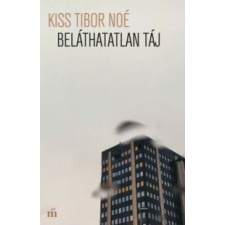 Kiss Tibor Noé Beláthatatlan táj irodalom
