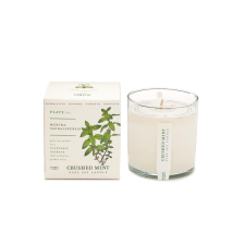 Kobo Plant the Box Crushed Mint illatgyertya (10oz / 283g), gyertya