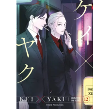 Kodansha America, Inc Kei X Yaku: Bound by Law 12 | V12 egyéb könyv