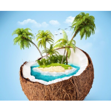  Kókuszsziget tapéta, 300 x 250 cm tapéta, díszléc és más dekoráció