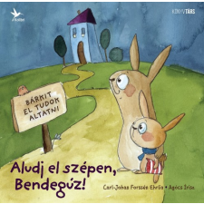 Kolibri Aludj el szépen, Bendegúz! gyermek- és ifjúsági könyv