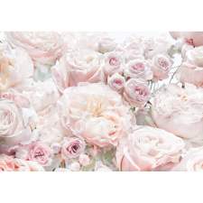 Komar fotótapéta Spring Roses 368 cm x 254 cm tapéta, díszléc és más dekoráció