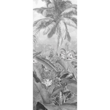 Komar nemszőtt fotótapéta Amazonia Black and White Panel 100 cm x 250 cm tapéta, díszléc és más dekoráció
