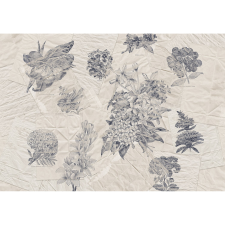 Komar nemszőtt fotótapéta Botanical Papers 400 cm x 280 cm tapéta, díszléc és más dekoráció