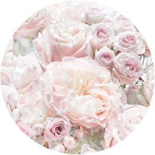 Komar nemszőtt fotótapéta Dot Pink and Cream Roses öntapadó átmérő 125 cm tapéta, díszléc és más dekoráció