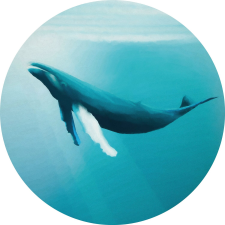 Komar nemszőtt fotótapéta Dot Whale Watching öntapadó átmérő 125 cm tapéta, díszléc és más dekoráció