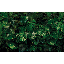 Komar nemszőtt fotótapéta Tropical Wall 400 cm x 250 cm tapéta, díszléc és más dekoráció