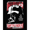 Komar Star Wars Darth Vader The Chosen One falikép 40 cm x 50 cm piros