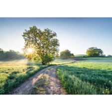 Komar tapéta Meadow Trail 368 cm x 254 cm tapéta, díszléc és más dekoráció