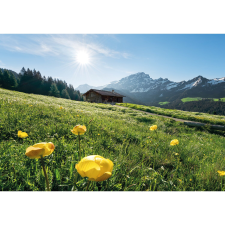 Komar Vlies fotótapéta Alpenglück 400 cm x 280 cm tapéta, díszléc és más dekoráció