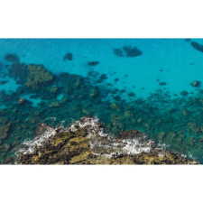 Komar Vlies fotótapéta Bright Blue 450 cm x 280 cm tapéta, díszléc és más dekoráció