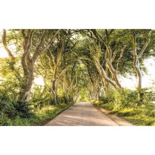 Komar vlies fotótapéta Golden Hedges 400 cm x 250 cm tapéta, díszléc és más dekoráció
