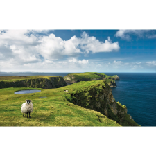 Komar Vlies fotótapéta Green Ireland 450 cm x 280 cm tapéta, díszléc és más dekoráció