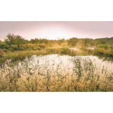 Komar vlies fotótapéta Morning View II 400 cm x 250 cm tapéta, díszléc és más dekoráció