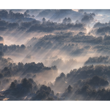 Komar vlies fotótapéta Rays 300 cm x 250 cm tapéta, díszléc és más dekoráció