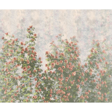 Komar vlies fotótapéta Wall Roses 300 cm x 250 cm tapéta, díszléc és más dekoráció