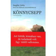 Könnycsepp regény