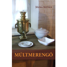 Könyv Guru Múltmerengő regény