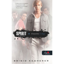 Könyvmolyképző Kiadó Brigid Kemmerer - Spirit - Szellem (Elementálok 3.) regény