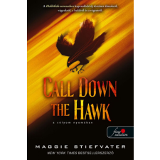 Könyvmolyképző Kiadó Call Down the Hawk - A sólyom Nyomában regény