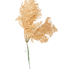  Korall ág bézs 29cm dekorációs kellék