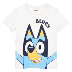 KORREKT WEB Bluey gyerek rövid póló, felső 5 év/110 cm