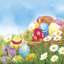 KORREKT WEB Húsvét Eggs and Daisies szalvéta 20 db-os 33x33 cm papírárú, csomagoló és tárolóeszköz