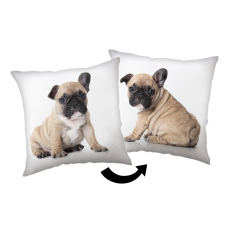 KORREKT WEB Kutyás Bulldog párna, díszpárna 40x40 cm lakástextília