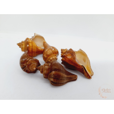  Körtecsiga - piros dekorációs kellék