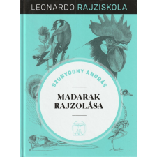Kossuth Madarak rajzolása antikvárium - használt könyv