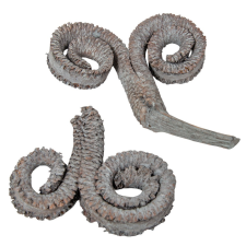  Kosszarv szárított szürke 6db-os dekorációs kellék