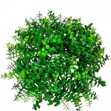  Koszorú eukaliptusz D24cm 24db/# dekorációs kellék