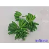  Kövirózsa gumis pozsgás 8 cm - Zöld