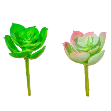  Kövirózsa M8cm 12db/csom dekorációs kellék