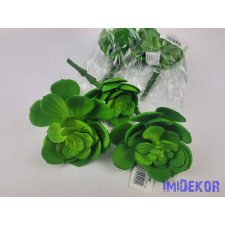 Kövirózsa nyílt gumis pozsgás 14 cm - Zöld dekorációs kellék