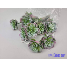  Kövirózsa nyílt gumis pozsgás 6 cm - Hamvas dekorációs kellék