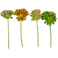  Kövirózsás zöld szálas M28cm mix 6db/szín/köteg 60db/# dekorációs kellék