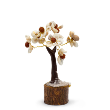  Közepes Gomati Chakra Kő Fa Rudrakshával - (45 kő) gyógyhatású készítmény