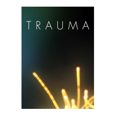 Krystian Majewski Trauma (PC - Steam Digitális termékkulcs) videójáték