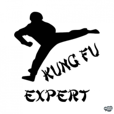  Kung-Fu Expert matrica matrica